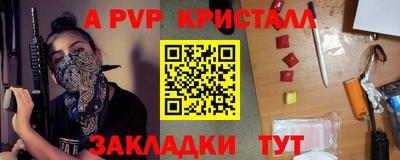 Альфа ПВП Моздок