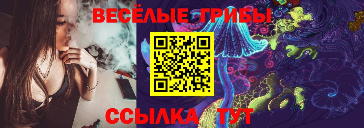 Псилоцибиновые грибы Magic Shrooms Черногорск