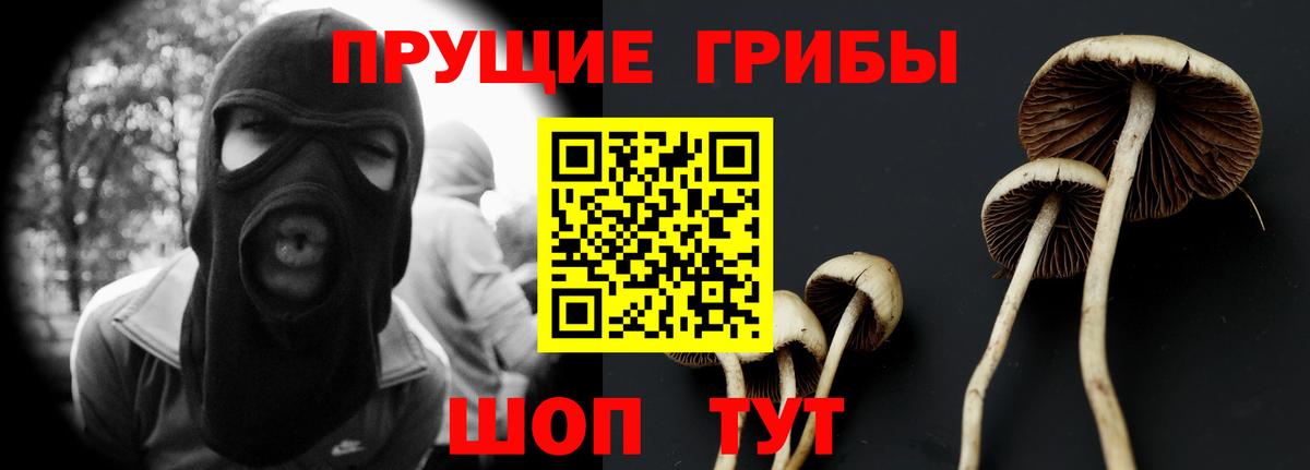 Псилоцибиновые грибы Magic Shrooms  что такое наркотик  Черногорск  Вход с VPN 