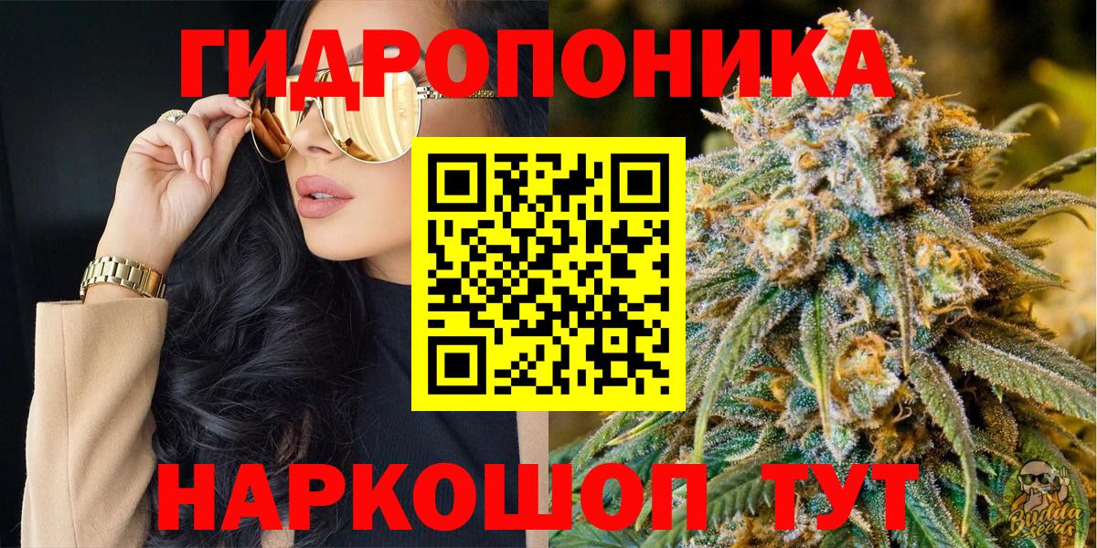 Черногорск  Канабис AK-47  Вход с VPN  Шишки марихуана тримм  МАРИХУАНА планчик  Бошки марихуана семена 
