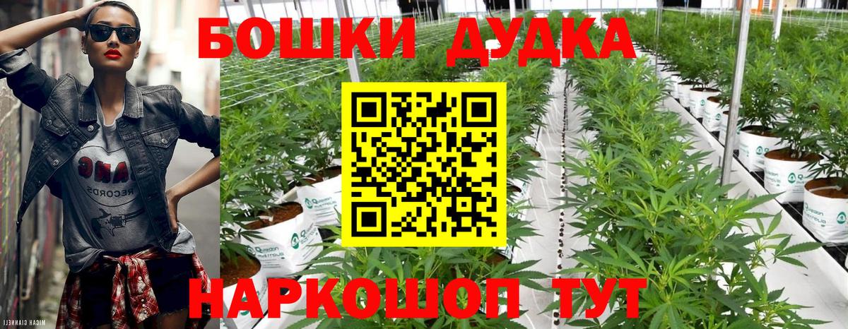 Конопля ГИДРОПОН Черногорск